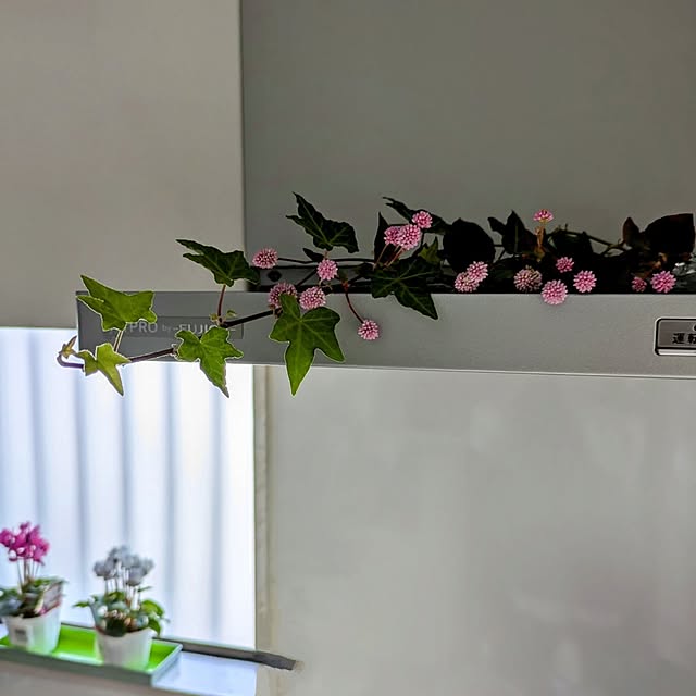 Renさんの実例写真