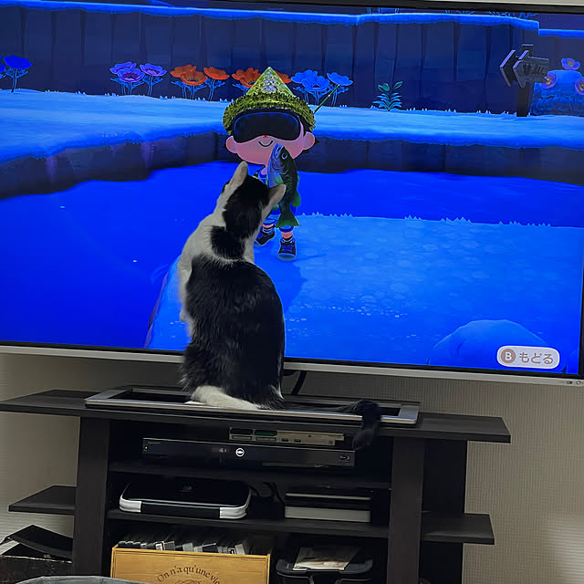 harukaさんの実例写真