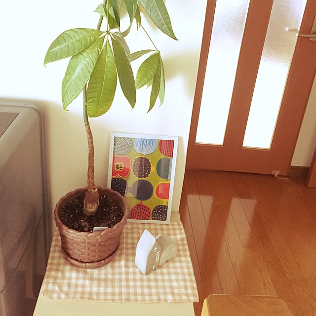 picoさんの実例写真