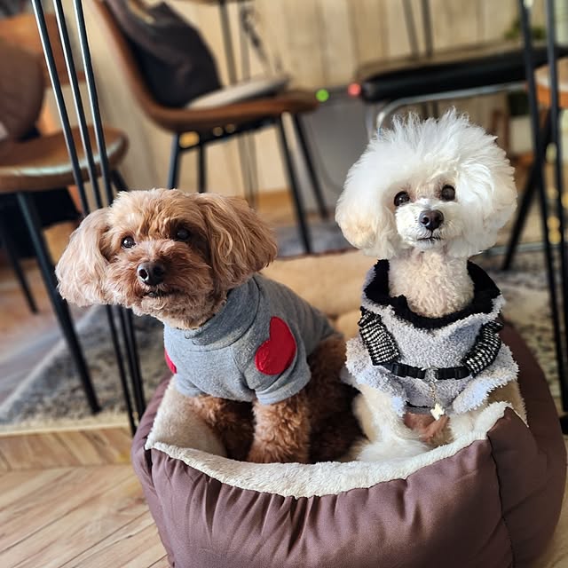 yumitanさんの部屋