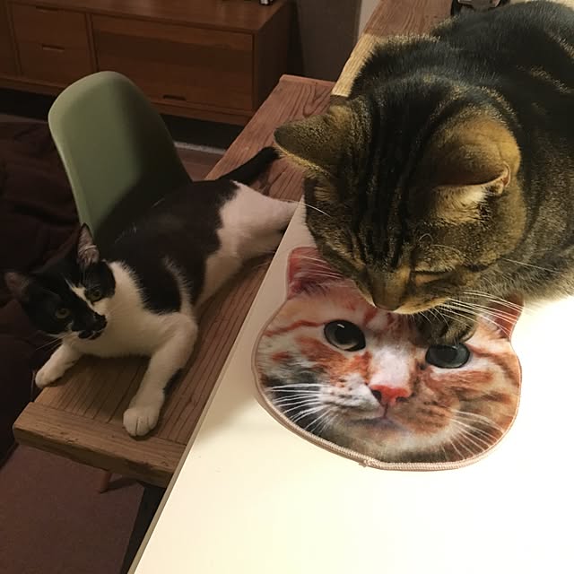 mikomaruさんの実例写真