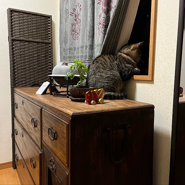 mikan161さんの実例写真
