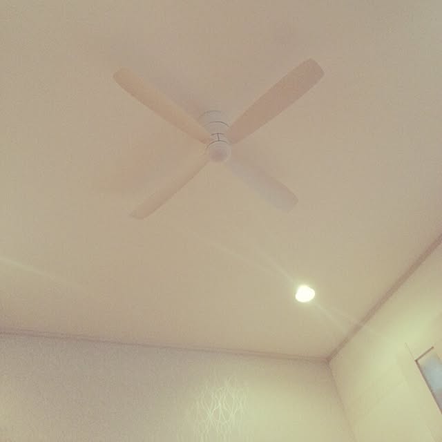 momonaさんの実例写真