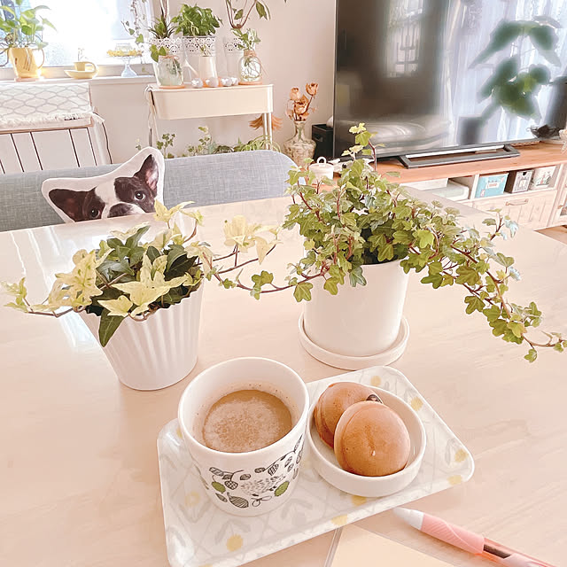 akiko-ovさんの部屋