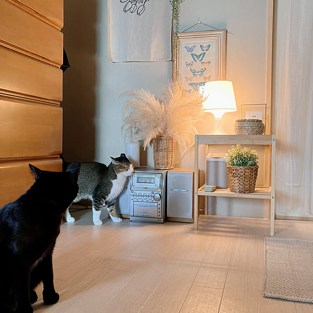 nekomiさんの実例写真