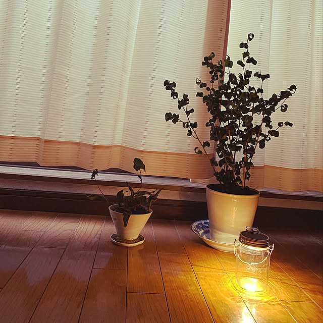 toshiさんの実例写真
