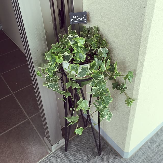 ffgreenさんの実例写真