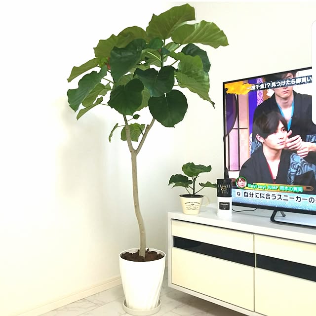 yuriさんの実例写真