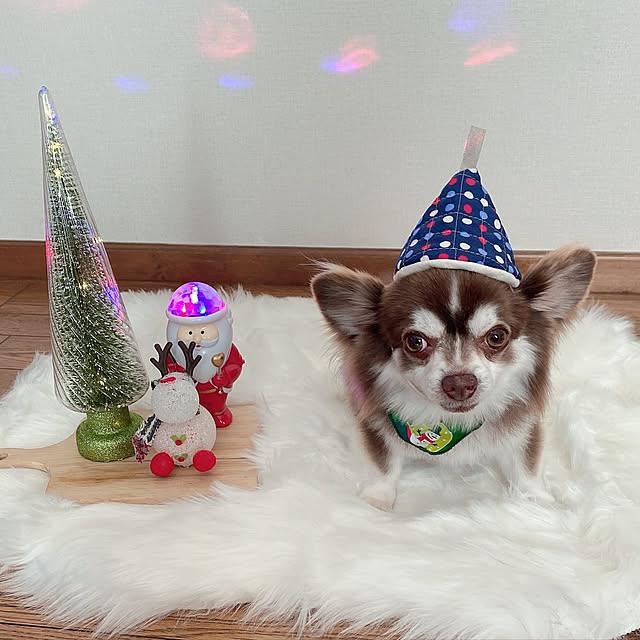 chIoeさんの実例写真