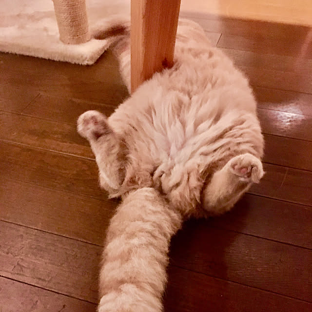 naokoさんの部屋