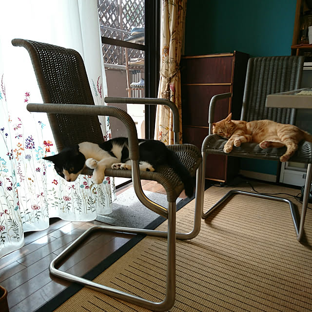 okyosan101さんの実例写真