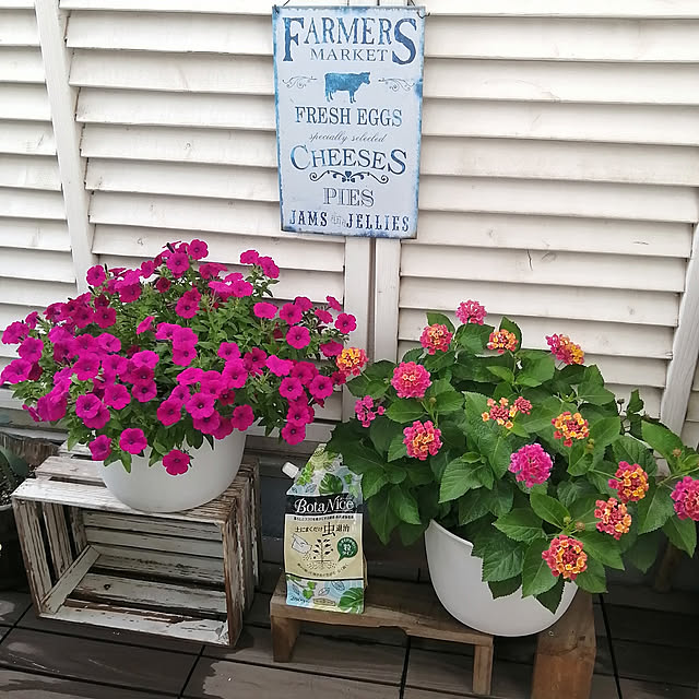 VERANDARJUNさんの実例写真