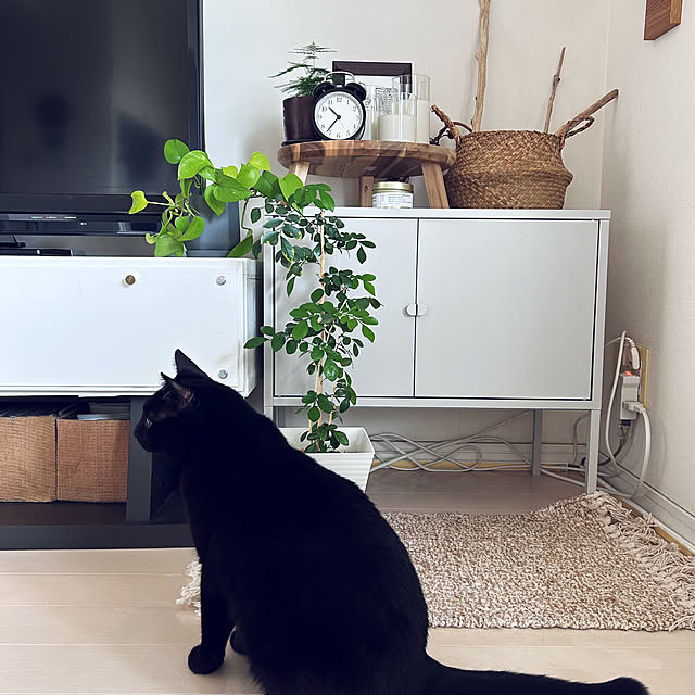 nekomiさんの部屋