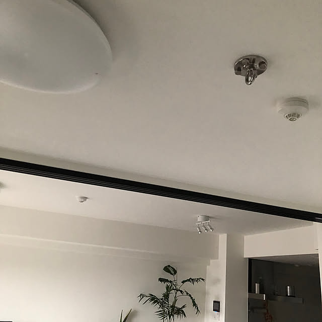 kikoさんの部屋
