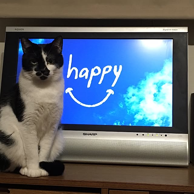 mikomaruさんの実例写真