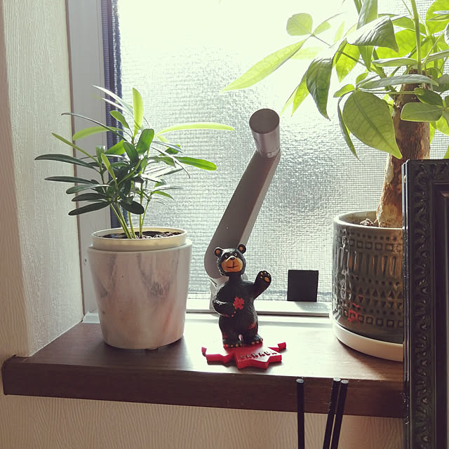 mo-minさんの実例写真