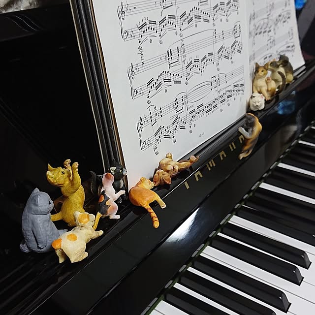 NOAHさんの部屋