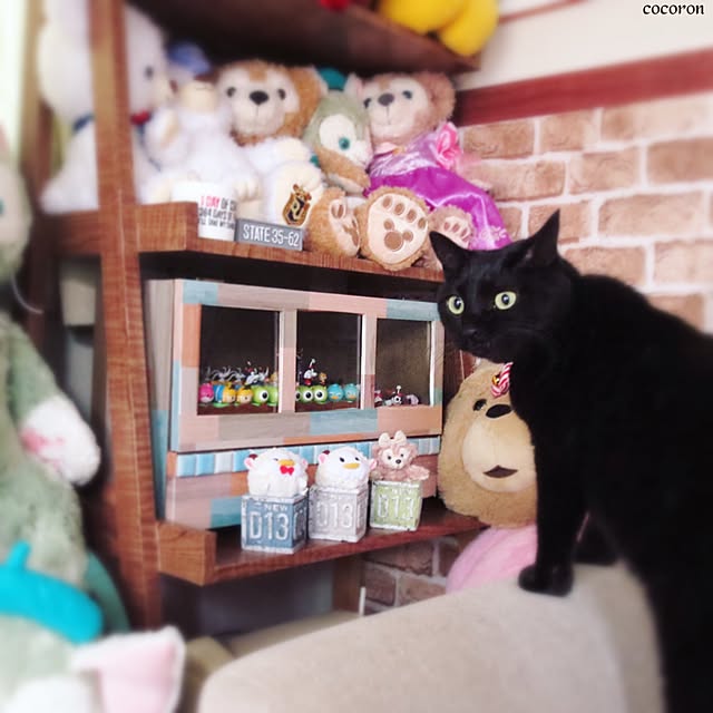 cocoronさんの実例写真