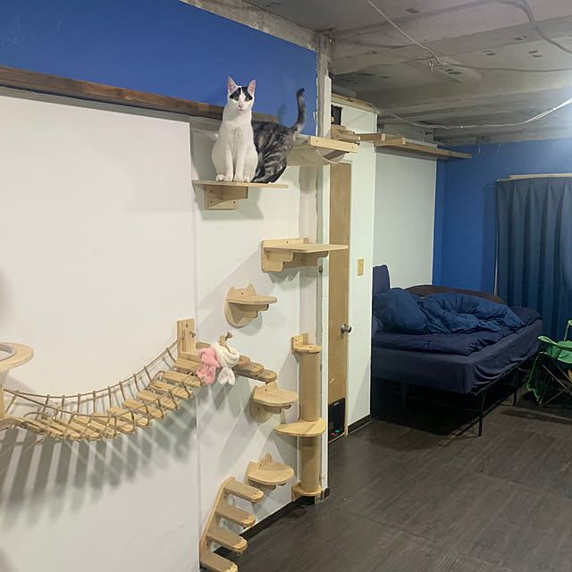 yuutamamehimaさんの部屋