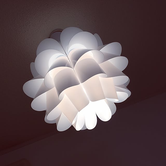 IKEA/賃貸マンション/賃貸/シーリングライト/照明...などのインテリア実例 - 2015-10-15 20:24:39