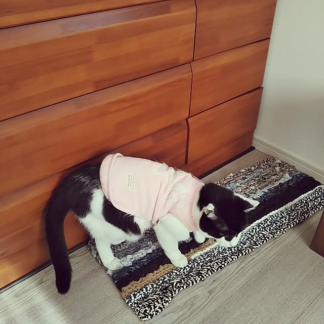 oyoneさんの部屋