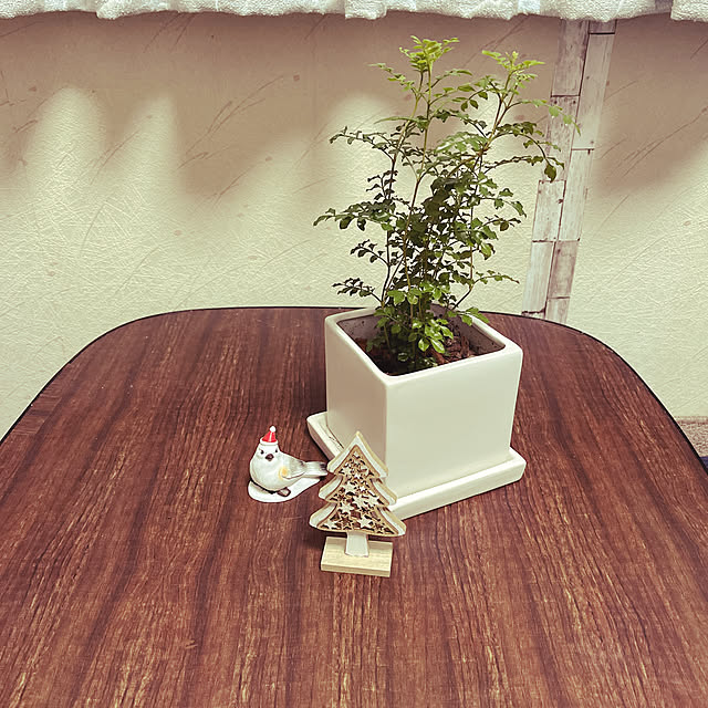 setokaさんの実例写真