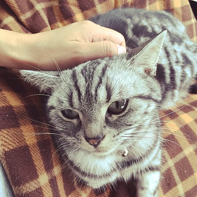hiyupan88さんの実例写真