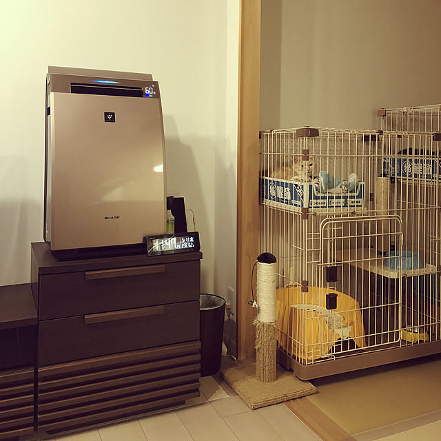 mutsuさんの実例写真