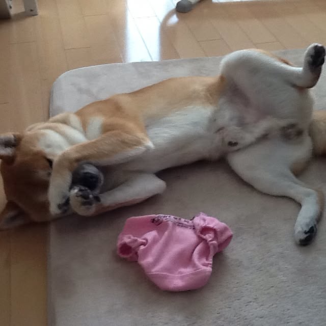 kotaさんの実例写真