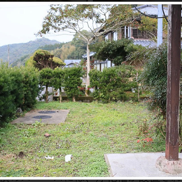 実例写真