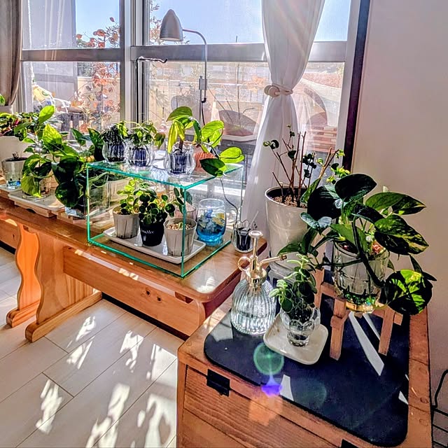 mi-saさんの実例写真