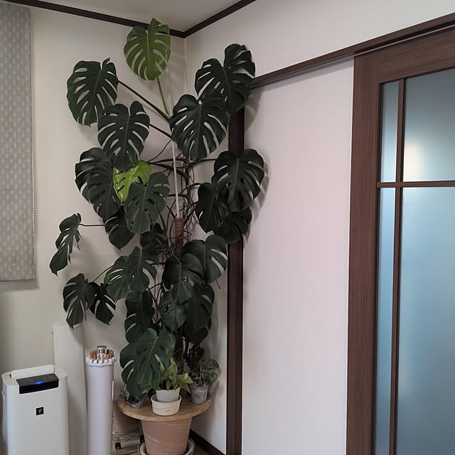 totokoさんの実例写真