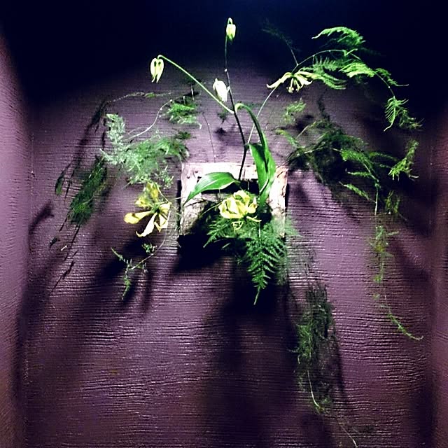 Gravityさんの実例写真