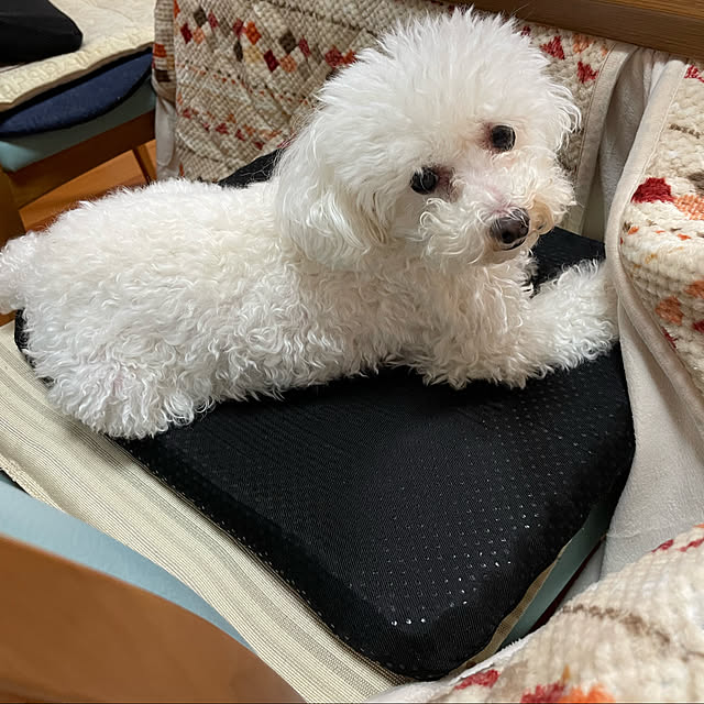 kakoさんの実例写真