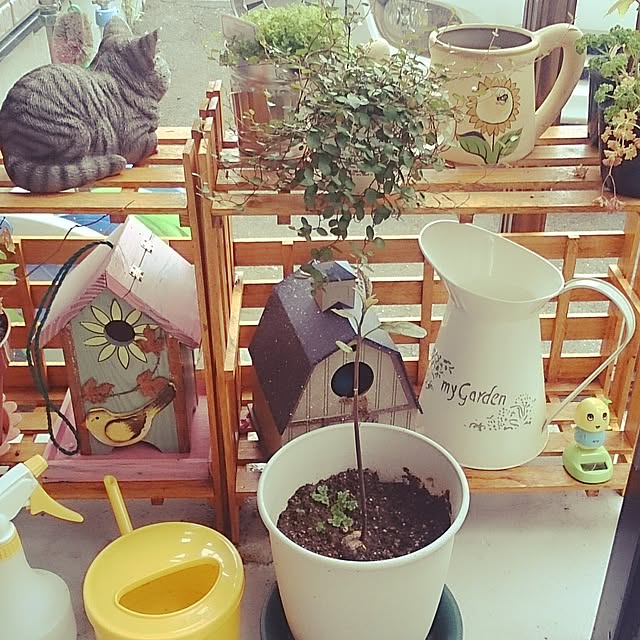 simaumaさんの実例写真