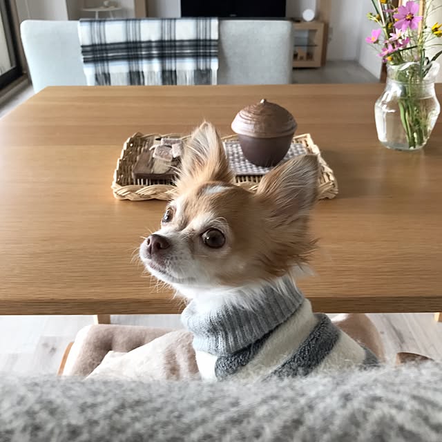 naomi426さんの実例写真
