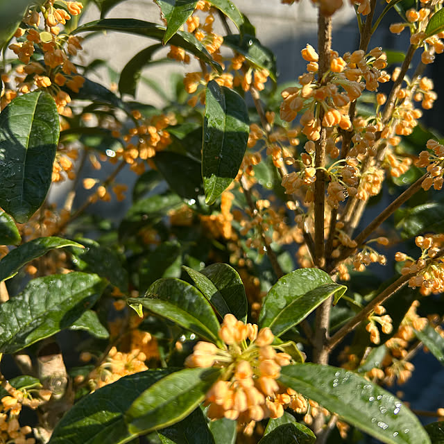 banbinaさんの部屋