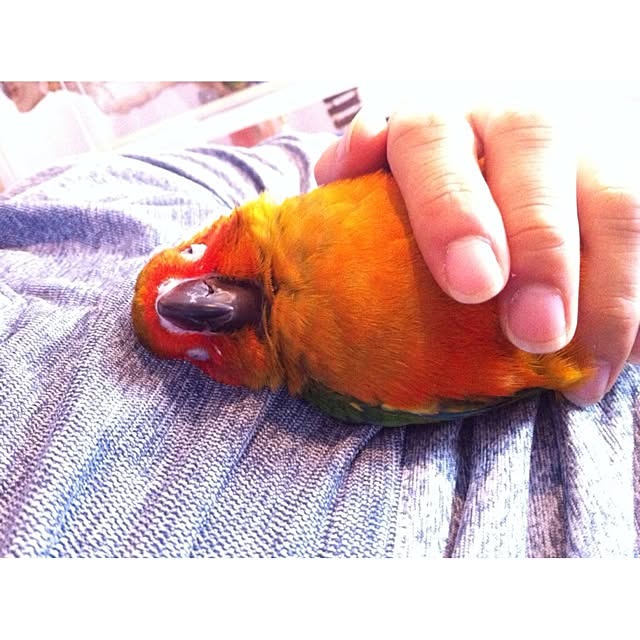 Atsushiさんの実例写真