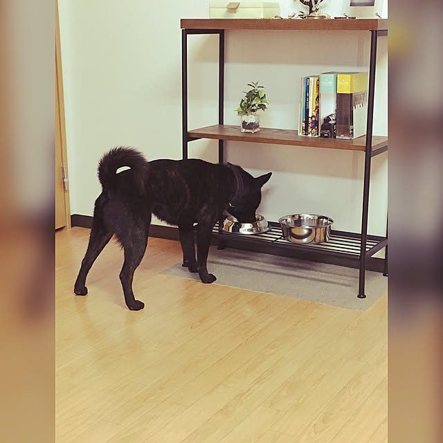 youさんの実例写真