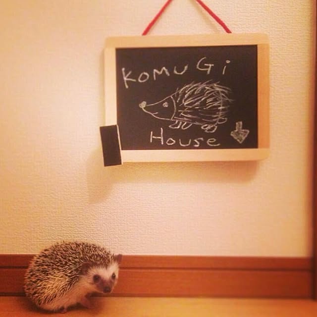 mamechanさんの実例写真