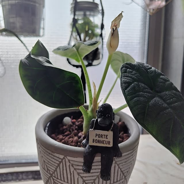 hiro3さんの部屋