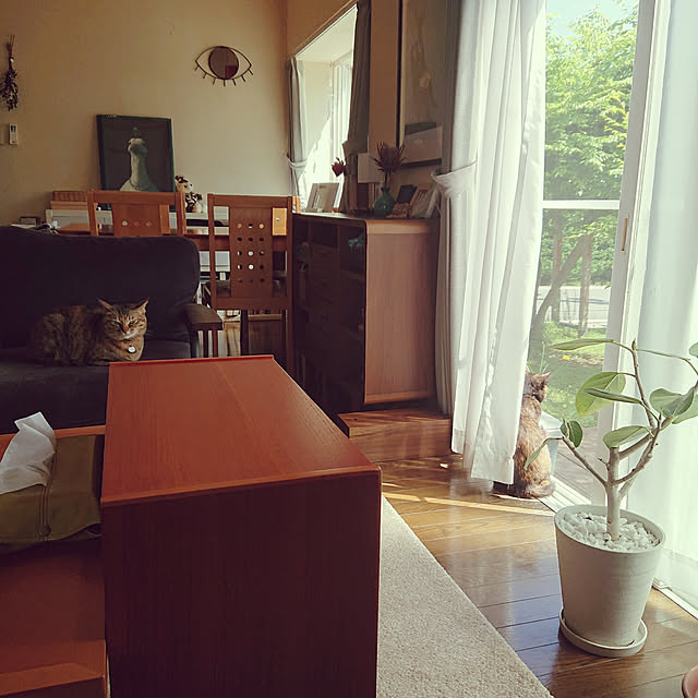 tyunaさんの実例写真