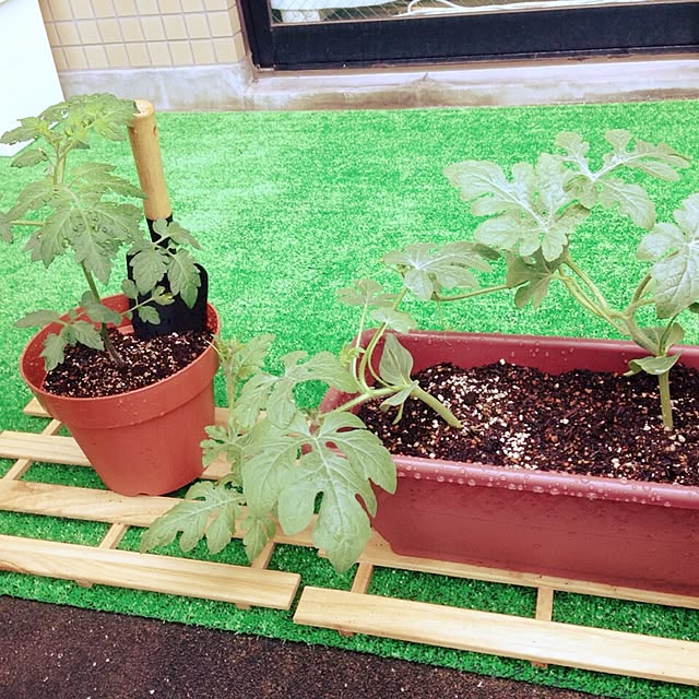 sakiさんの実例写真