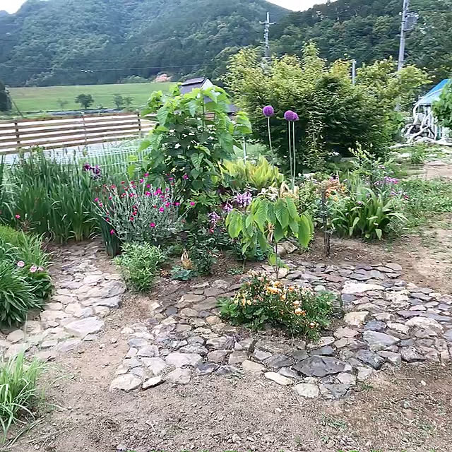 pepeさんの実例写真