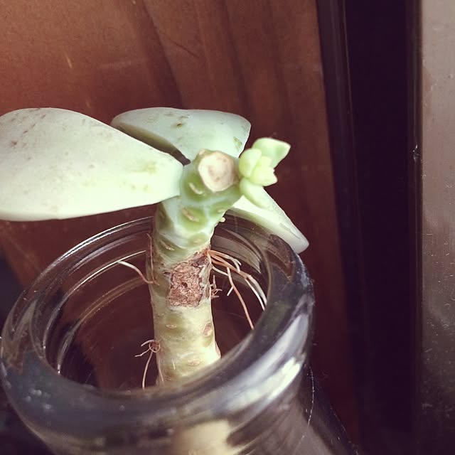 Onettoさんの実例写真