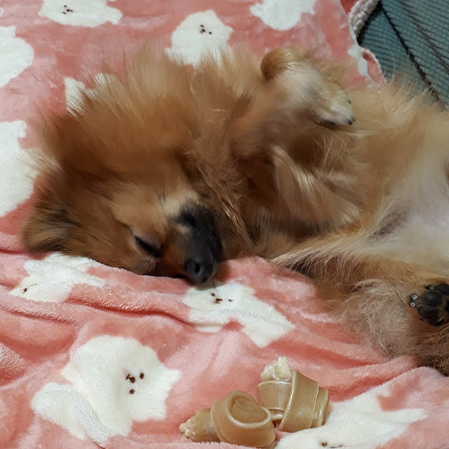 momoさんの実例写真