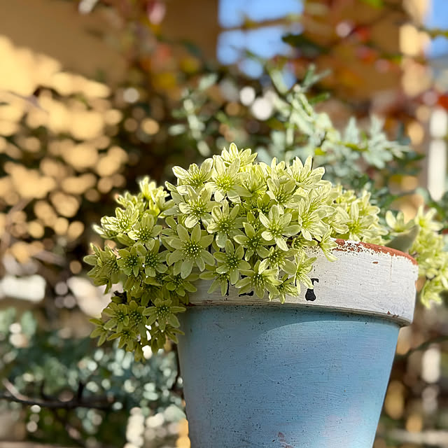 asako.10さんの実例写真