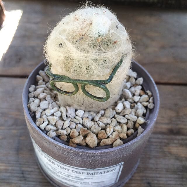 cocoさんの実例写真