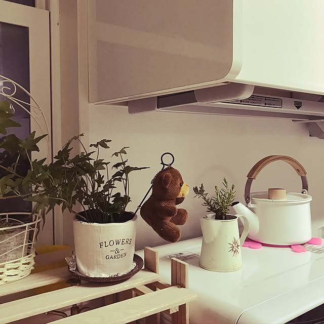 キッチン/DIY/100均/観葉植物/ダイソーのインテリア実例 - 2017-07-16 09:31:02