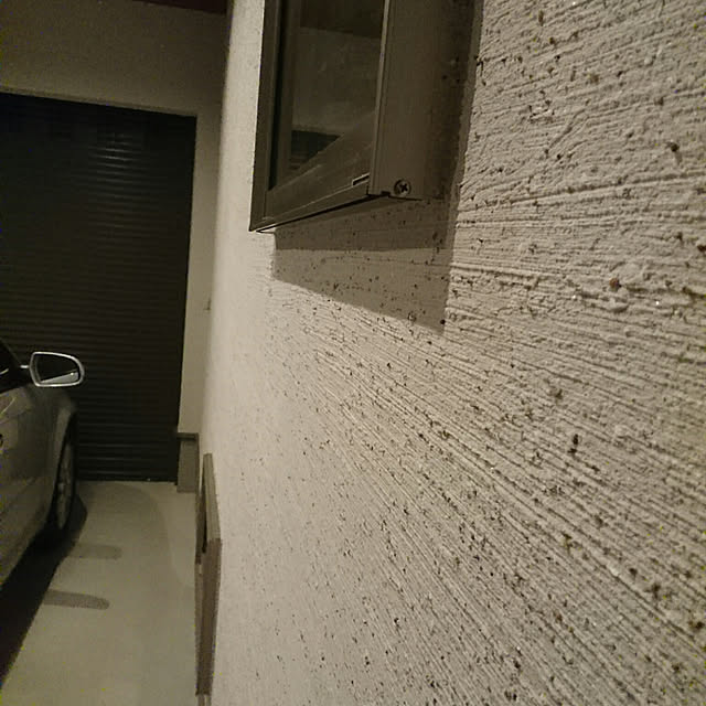 壁/天井/平屋暮らし/塗り壁の家/刷毛引き仕上げ/インナーガレージ...などのインテリア実例 - 2020-08-31 20:56:59